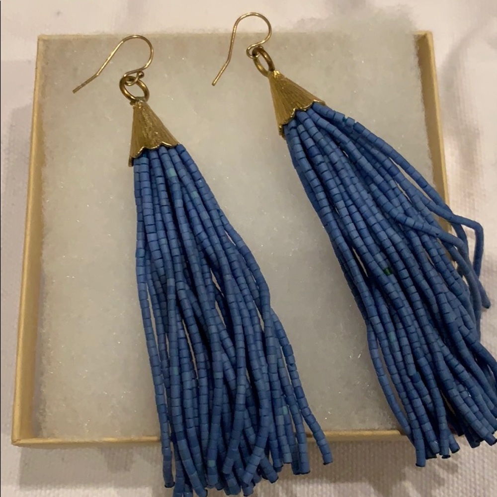 Blue beaded tassel earrings